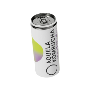 That Organic Tropical Citrus Kombucha - 250ml Can 