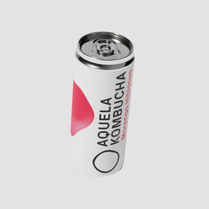 Aquela Kombucha Morango Hibiscus BIOlógica - Lata 250ml