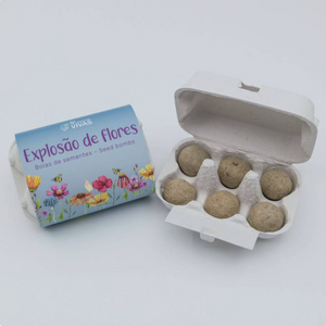 Bolas de Sementes Explosão de Flores (caixa de 6) BIO