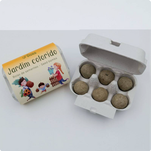 Bolas de Sementes Jardim Colorido (caixa de 6) BIO