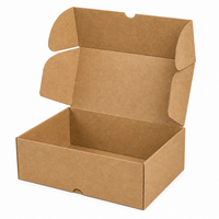Eco-Friendly KRAFT Cardboard Box 23x16x12 cm