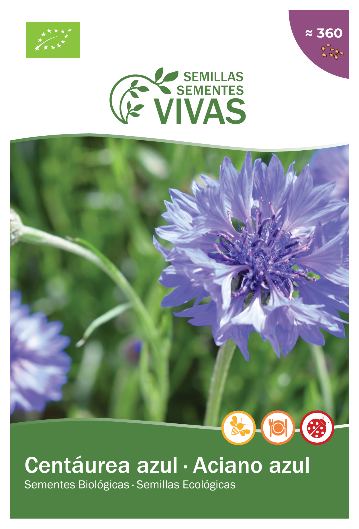 Sementes de Centáurea Azul - BIOlógico
