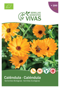 Marigold Seeds - Organic