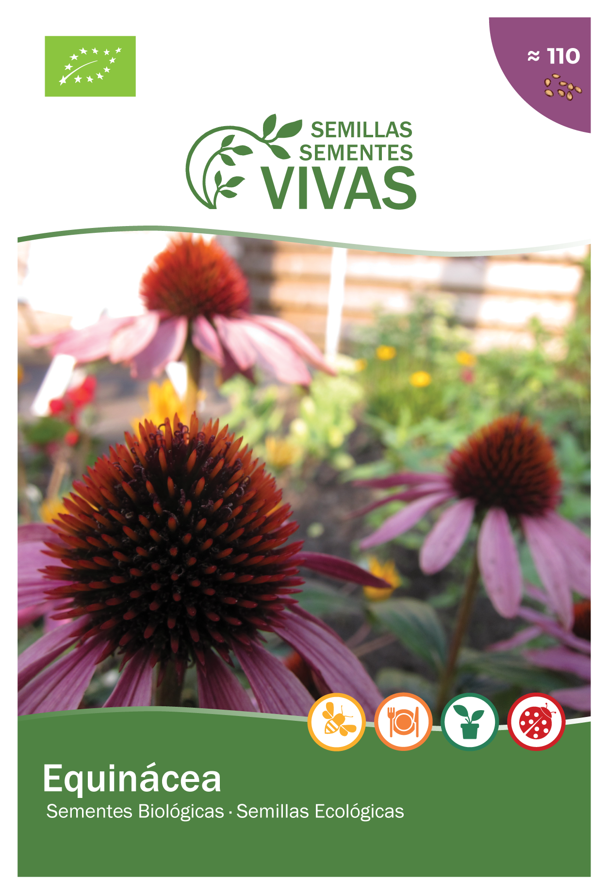 Sementes de Equinácea - BIOlógico