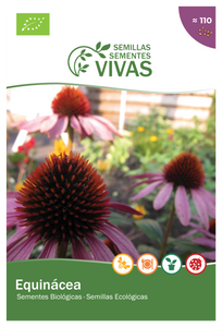 Echinacea Seeds - Organic