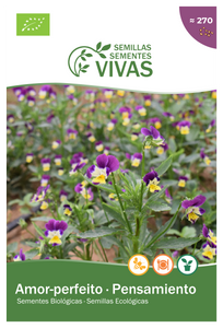 Pansy Seeds - Organic