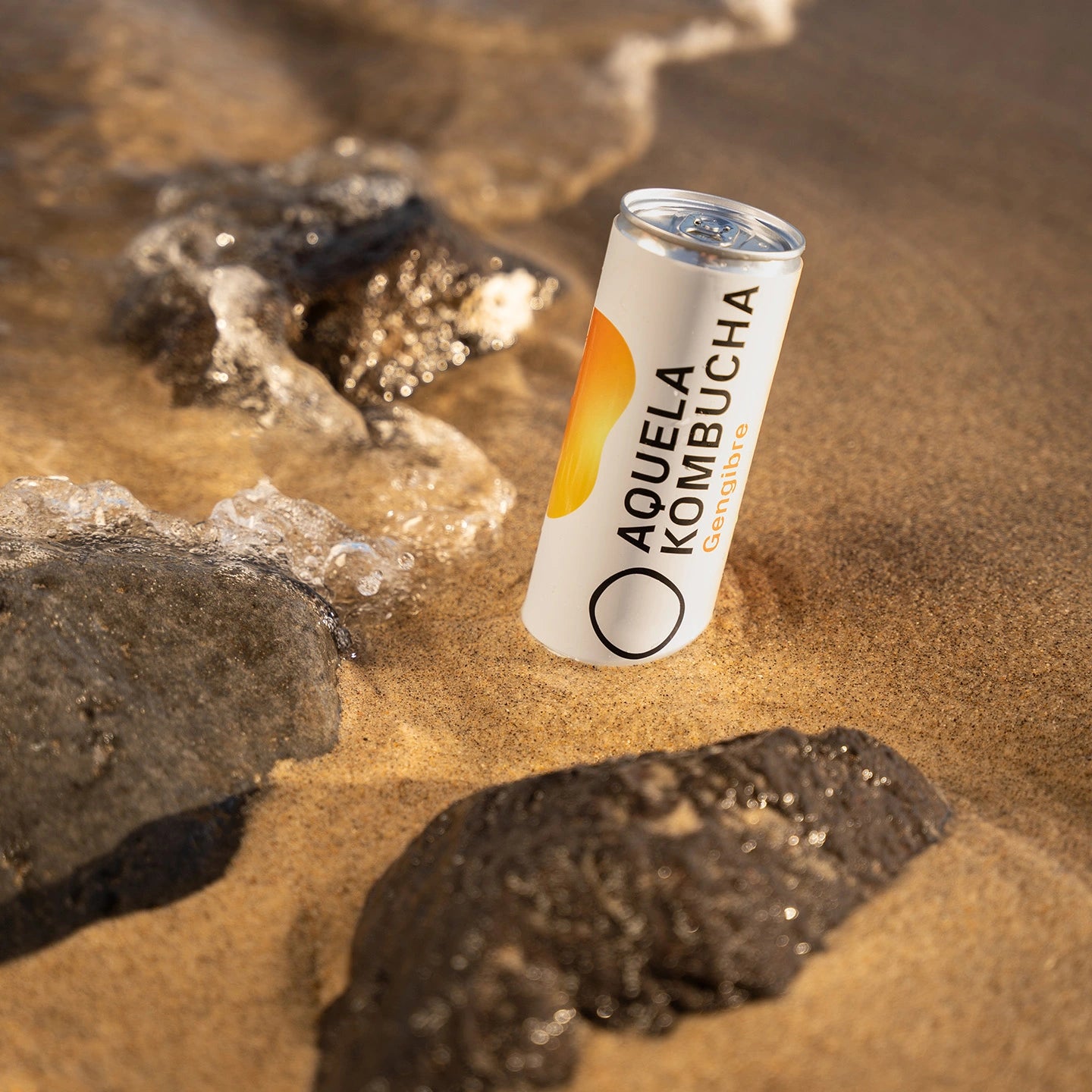 Aquela Kombucha Gengibre BIOlógica - Lata 250ml