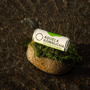 Aquela Kombucha Hortelã-Pimenta BIOlógica - Lata 250ml