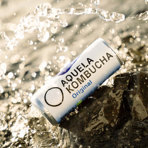 Aquela Kombucha Original BIOlógica - Lata 250ml