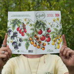 Página interior do Guia Pé Fértil 2024: Edição Especial Tomate