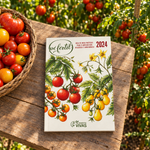Guia Pé fértil 2024 numa horta com muitos tomates