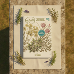Guia Pé Fértil 2026 – Flat Lay Verão