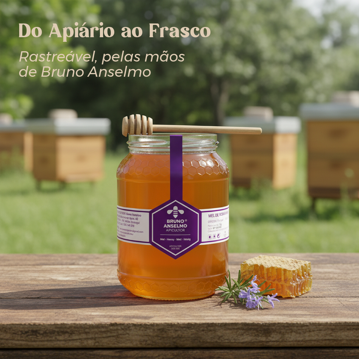 Frasco de mel de rosmaninho de 1 kg no apiário, do produtor Bruno Anselmo