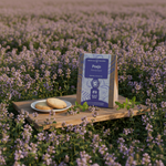 Poejo — campo de Mentha pulegium com biscoitos