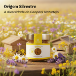 Pólen de Abelha Artesanal Geocakes — origem silvestre e diversidade do Geopark Naturtejo