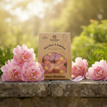 Rosas Albardeiras — Lifestyle Exterior Primavera com Peónias
