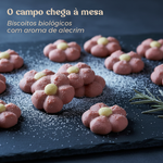 Rosas Albardeiras Biológicas Geocakes — biscoitos com aroma de alecrim