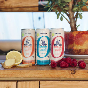 Kombucha Zero Gengibre e Limão BIOlógica - 250 ml